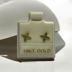 Arete de Mujer LV015